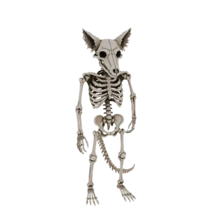Modèle 3D de chien squelette debout avec une longue queue segmentée, présenté sur fond blanc.