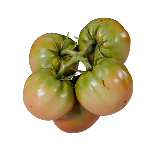 Garden Tomato Cluster Realistic 3D model, three-quarter studio render, showing leaf veins, clear vegetable silhouettes.