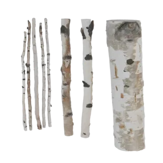 Un fagot de branches de bouleau réalistes avec une écorce blanche et des marques sombres, présenté comme un modèle 3D.