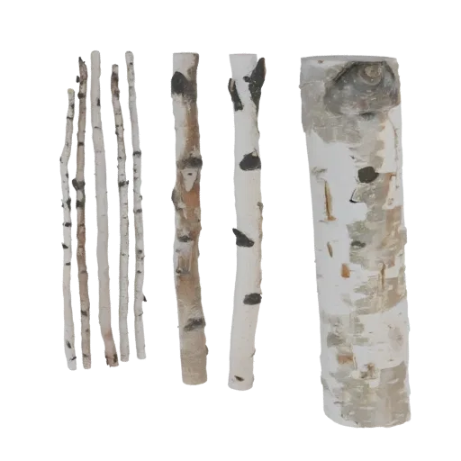Un fagot de branches de bouleau réalistes avec une écorce blanche et des marques sombres, présenté comme un modèle 3D.
