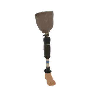 3D model of a prosthetic leg, showing the socket, pylon, and foot in detail.