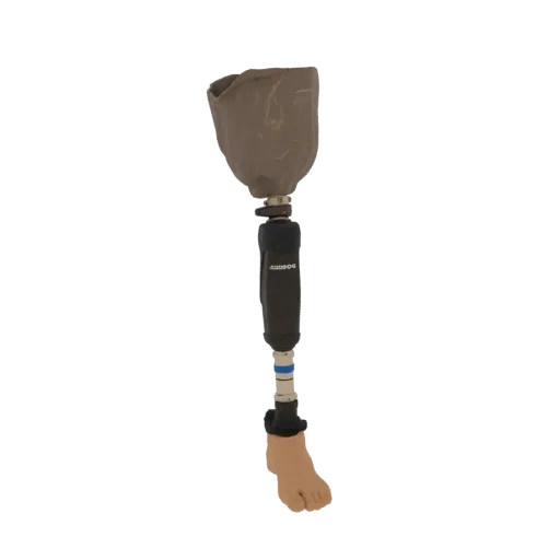 3D model of a prosthetic leg, showing the socket, pylon, and foot in detail.