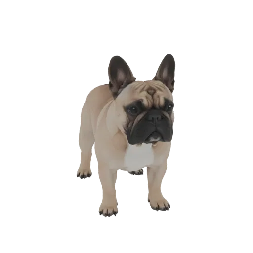 A 3D model of a fawn-colored French Bulldog standing on a white background, facing forward with its ears alert.