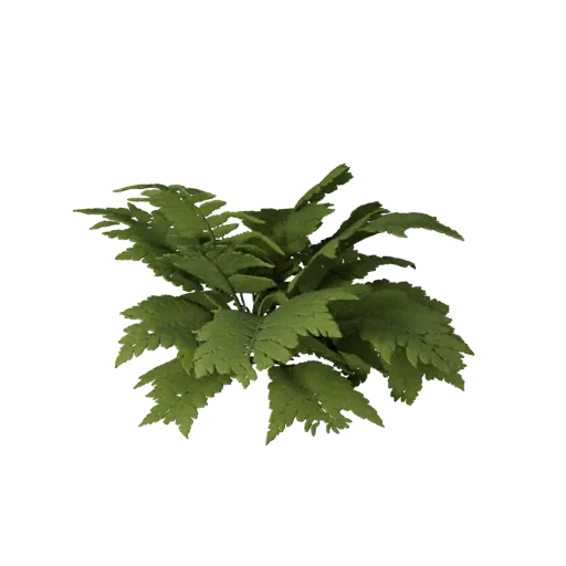 Fern Undergrowth Patch High Poly 3D model, close-up cinematic environment render, showing leaf clusters, terrain detail.
