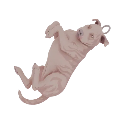 A 3D render of a light pinkish-tan pitbull puppy lying on its back with paws in the air, looking towards the viewer.