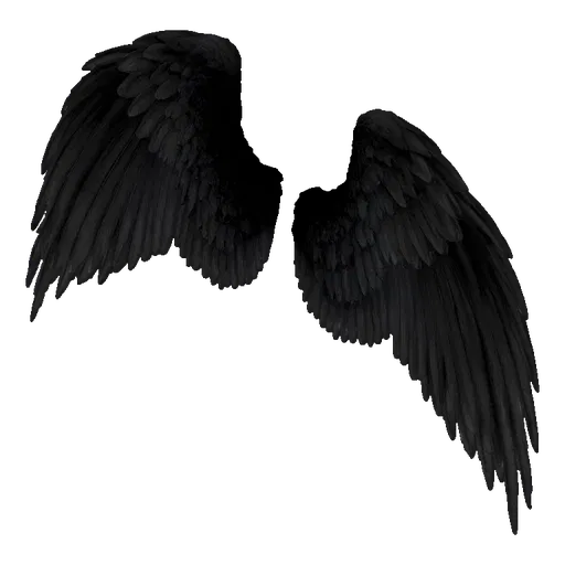 A 3D render of a pair of large, black, feathered angel wings spread wide against a black background.