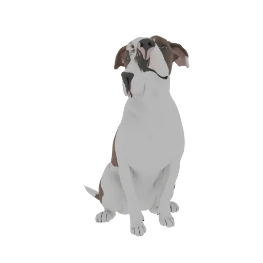 Modelo 3D de perro Pitbull marrón y blanco sentado atentamente, mirando hacia arriba con expresión amigable.
