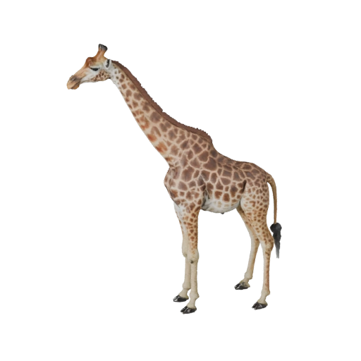 Girafe réaliste 3D - Asset PBR riggé pour jeux | PBR