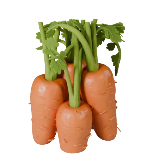 Garden Carrot Bunch High Poly 3D model, close-up studio render, showing leaf veins, clear vegetable silhouettes.