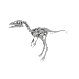 A detailed 3D model of a Velociraptor skeleton, shown against a black background.