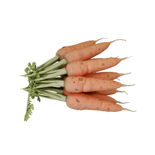 Organic Carrot Bunch Realistic 3D model, three-quarter studio render, showing leaf veins, clear vegetable silhouettes.