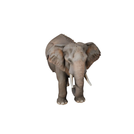 Elefante Asiático Realista 3D - Activo PBR Rigged para Juegos