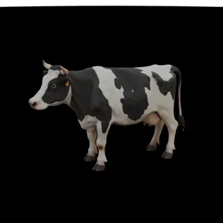 3D model of a Holstein cow in profile, with black and white spots, standing on a black background.