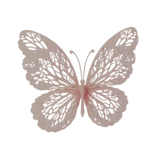 A 3D model of a delicate pink butterfly with intricate, lace-like filigree wings against a black background.