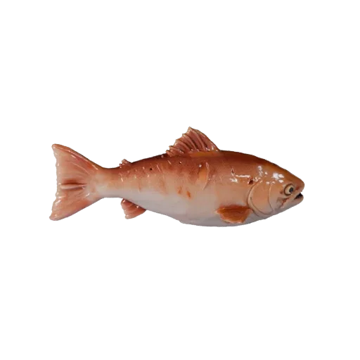 Modello STL Salmone High Poly, vista isometrica, figura animale pronta per la stampa con scomposizione della superficie, radi