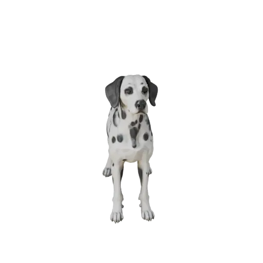 Dalmatian Dog 3D Model for Blender - PBR Asset with Textures