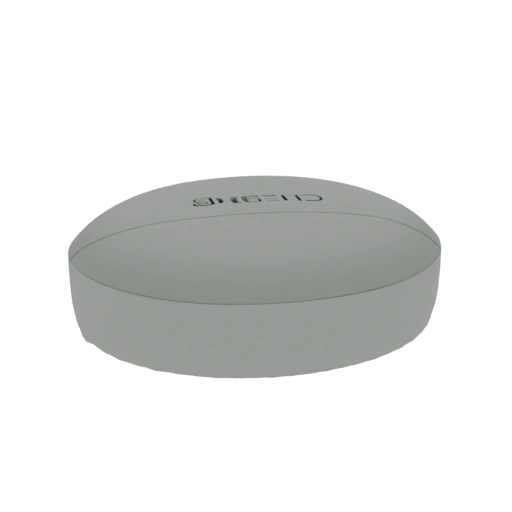 Gray Pill 3D Model