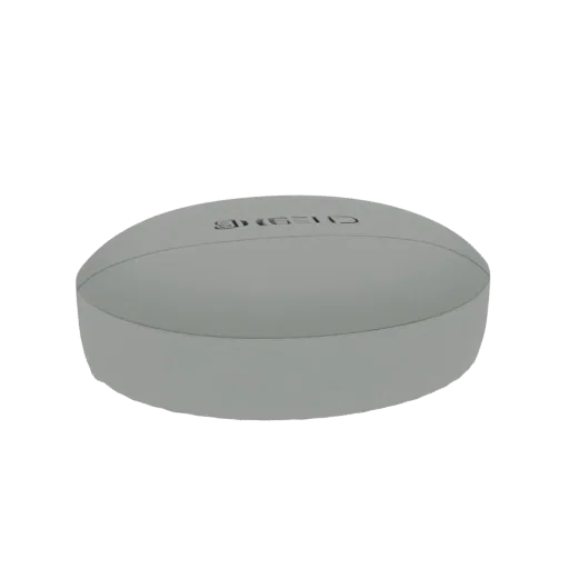 3D render of a single gray pill with embossed text on its surface, isolated on a white background.