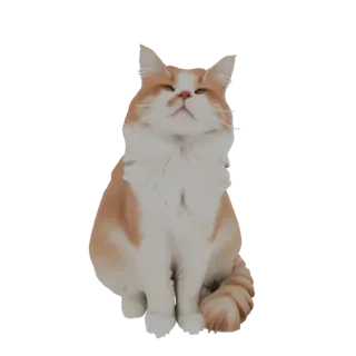 3D model of a fluffy orange and white cat sitting with its head tilted up, looking curious.