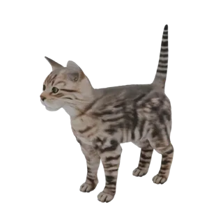 3D-Modell einer stehenden Tabby-Katze mit detaillierter Felltextur und gestreiften Mustern auf weißem Hintergrund.