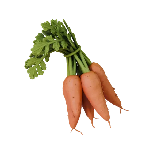 Market Carrot Bunch Printable 3D model, isometric STL render, showing leaf veins, clear vegetable silhouettes.