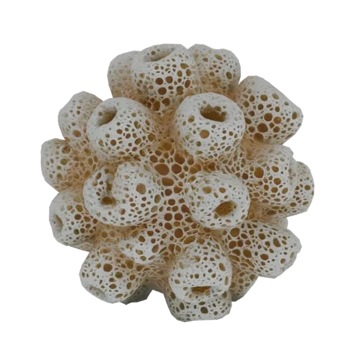 A detailed 3D model of a white, porous coral structure with many interconnected tubes and small holes, against a black backgr