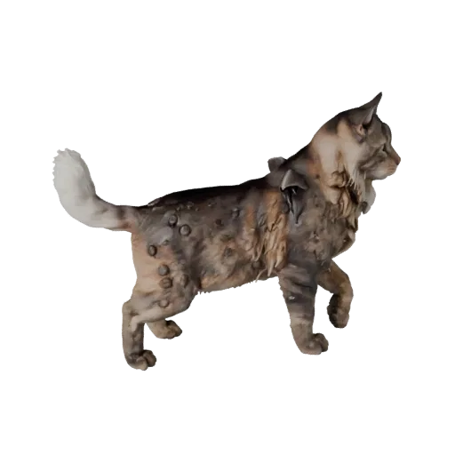 Realistisches 3D-Modell einer Norwegischen Waldkatze, Seitenansicht Wildlife-Rendering, animationsbereites Tier-Asset mit Kie