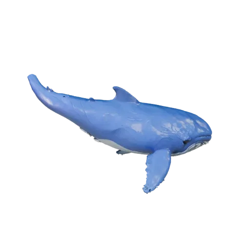 Modelo 3D Baleia Azul, vista lateral da câmera de gameplay, asset animal pronto para Unity com resposta de pele subaquática,