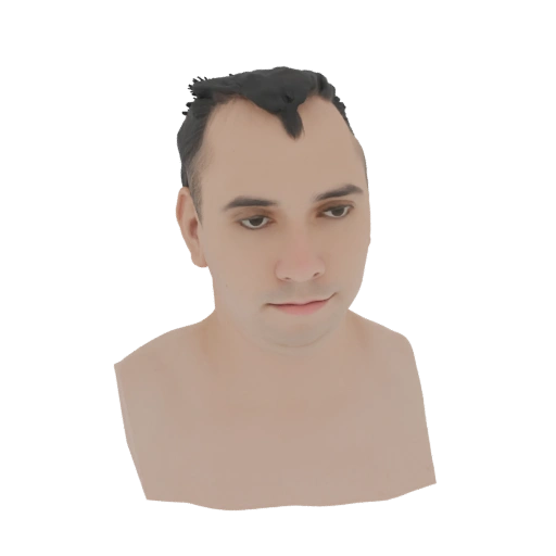 Male Bust 3D Model