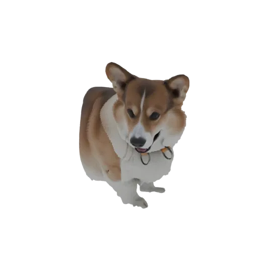 A 3D render of a cute Pembroke Welsh Corgi dog standing alertly, with tan, white, and brown fur and an orange collar.