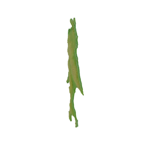 A 3D model of a single, slender green leafy branch with textured details, isolated on a white background.