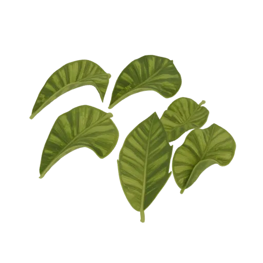 Modèle 3D de six feuilles vertes aux nervures marquées sur fond blanc