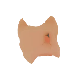 Modello 3D stilizzato di muso di maiale, color rosa pesca con sottili segni scuri.