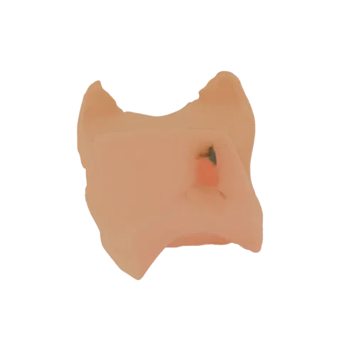 A stylized 3D model of a pig's snout, rendered in a soft peachy-pink color with subtle dark markings.