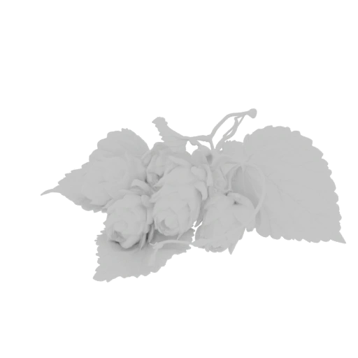 Hop Cones and Leaves 3D Model