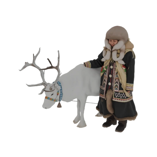 Sami Reindeer Herder with Reindeer