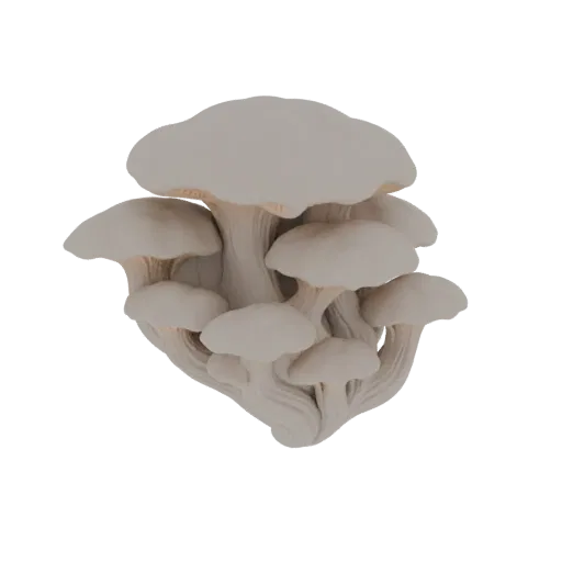 A 3D model render of a cluster of pale grey oyster mushrooms with distinct caps and stems, isolated on a white background.