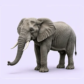 Animali e Creature
